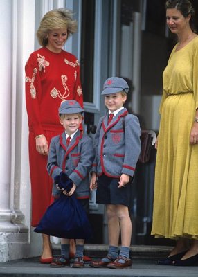 Prince Harry Diana's Death