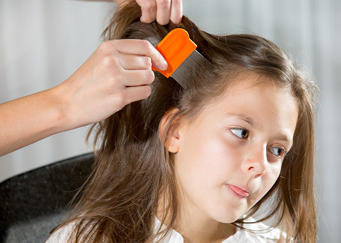 Four ways to act quickly if your child gets head lice