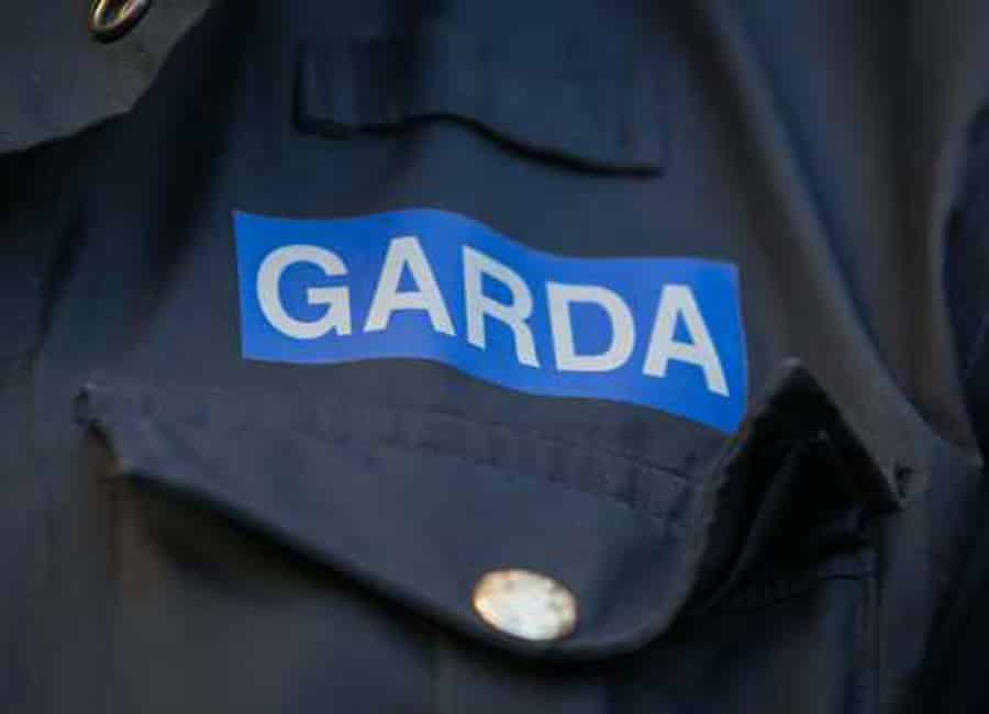 Gardaí investigating discovery of man's body in south Dublin river