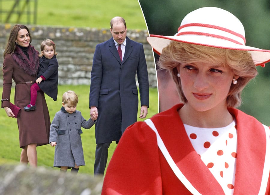 Prince William says paparazzi 'spat' at his mother to make her cry
