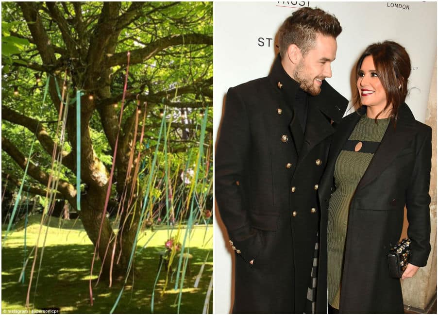 Liam Payne throws majestic garden party for Cheryl's 34th birthday!