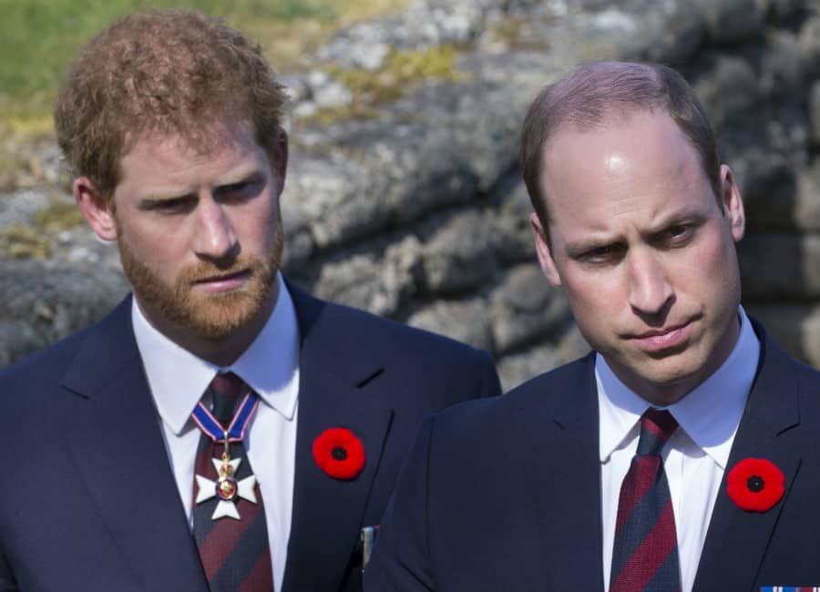 Princes William and Harry hadn't seen Diana in a month before she died