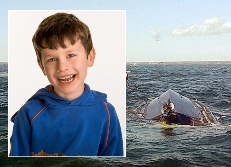 Funerals of two young Irish schoolboys to take place today