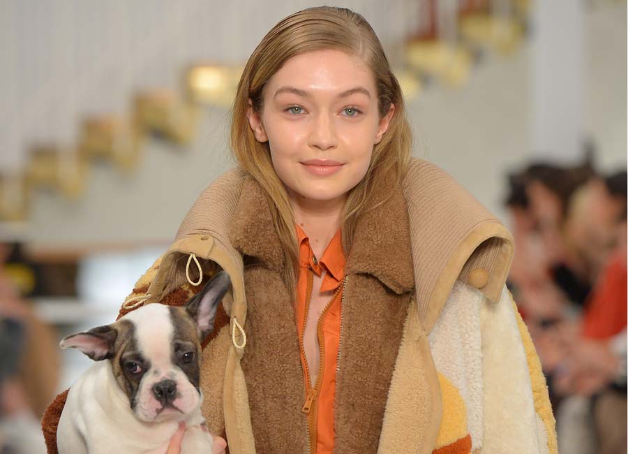 PICS: Top models take adorable puppies onto the runway at Milan Fashion Week