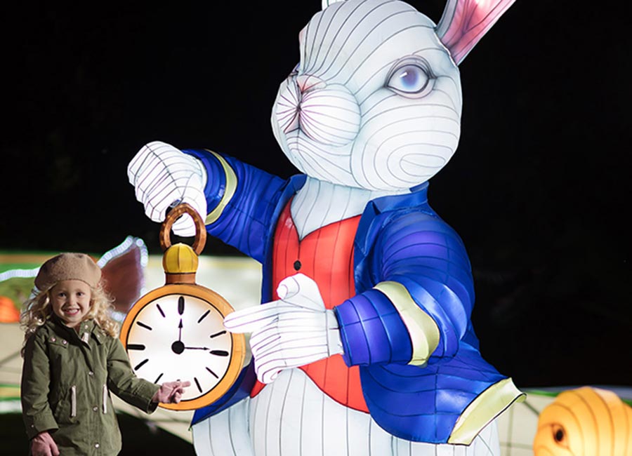 Sad news as Dublin Zoo announces Wild Lights won't be going ahead