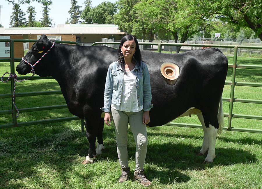 Aisling O'Loughlin: Liz Bonnin - From girlband failure to BBC natural life expert