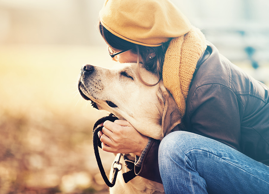 Dogs Trust Ireland is looking for people to foster dogs amid pandemic