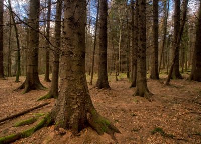 Game of Thrones locations