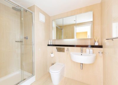 Grand Canal Dock Penthouse