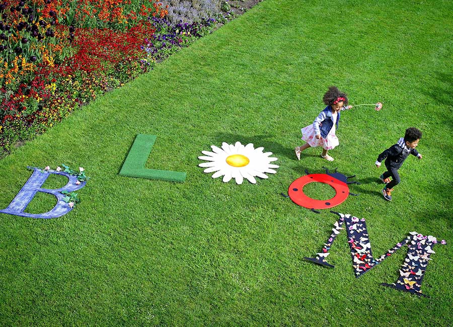 Grow your own supergarden, Bloom winner on the secrets of garden design