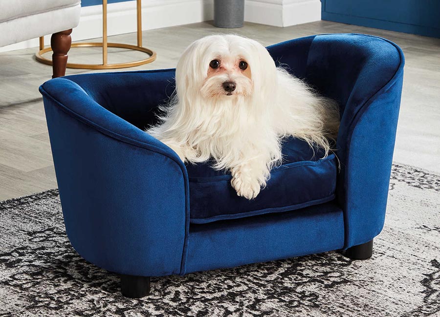Treat your pooch like a millionaire with Aldi's velvet pet beds