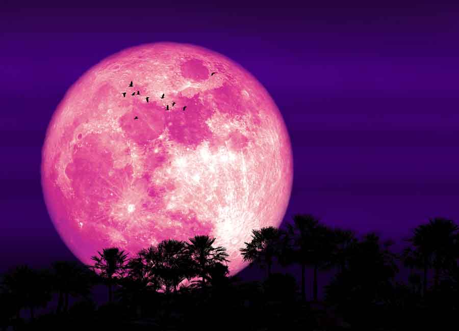 This is when and how you can catch the Super Pink Moon