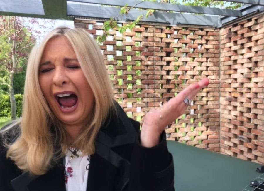 Laura Woods captured the unfortunate moment a chick 'pooped' on her
