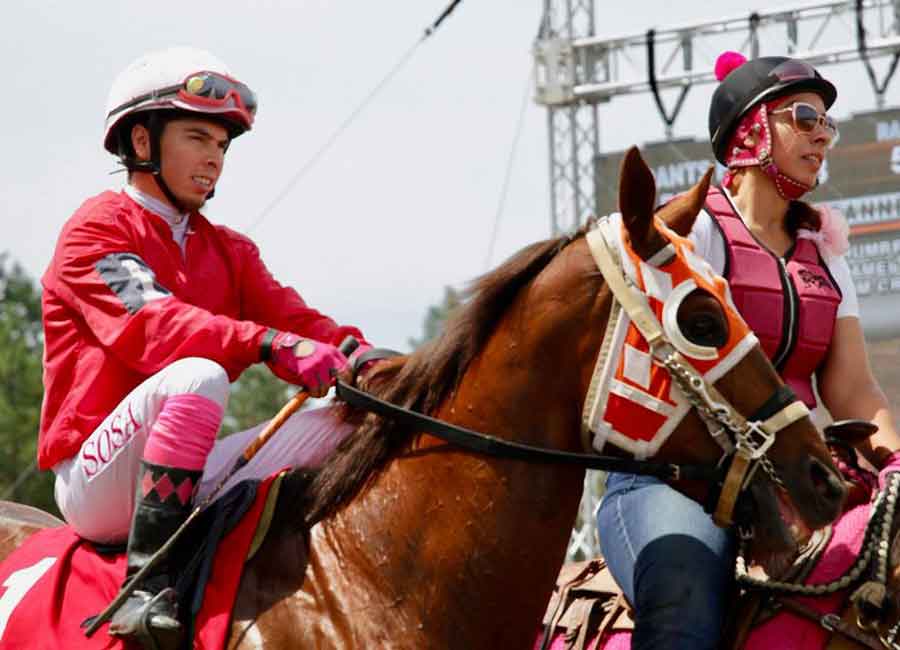 Much-loved jockey killed in horror fall from horse trained by his wife