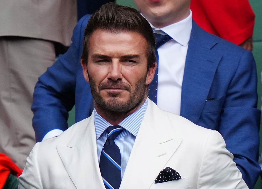 David Beckham disgusts fans by feeding his dogs from his own mouth