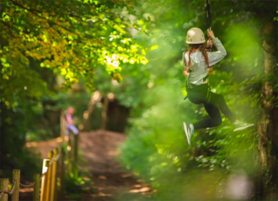 Great news as Squirrel's Scramble adventure park to reopen after closure announcement