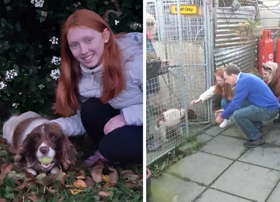 Kildare family's joy as they are reunited with missing dog after nine months