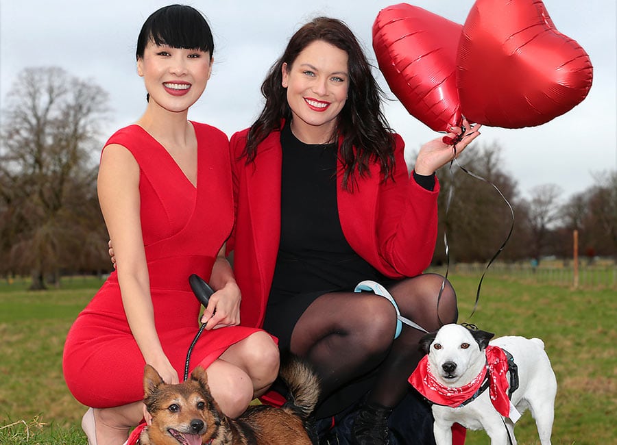 Happy Pup-entines! How to show your furry friend some love this season