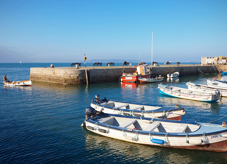 Pat Kenny harbour plan