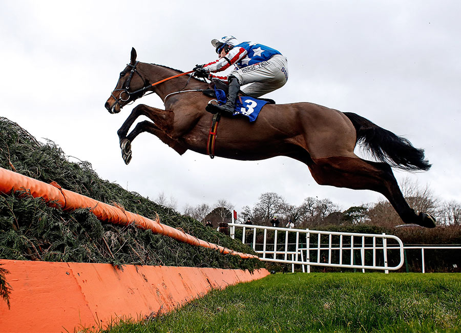 ‘Pub chat’ owners of horse sold for €180k in cash split row