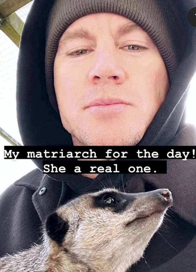 Channing Tatum poses with a meerkat in a picture shared in his Instagram Stories