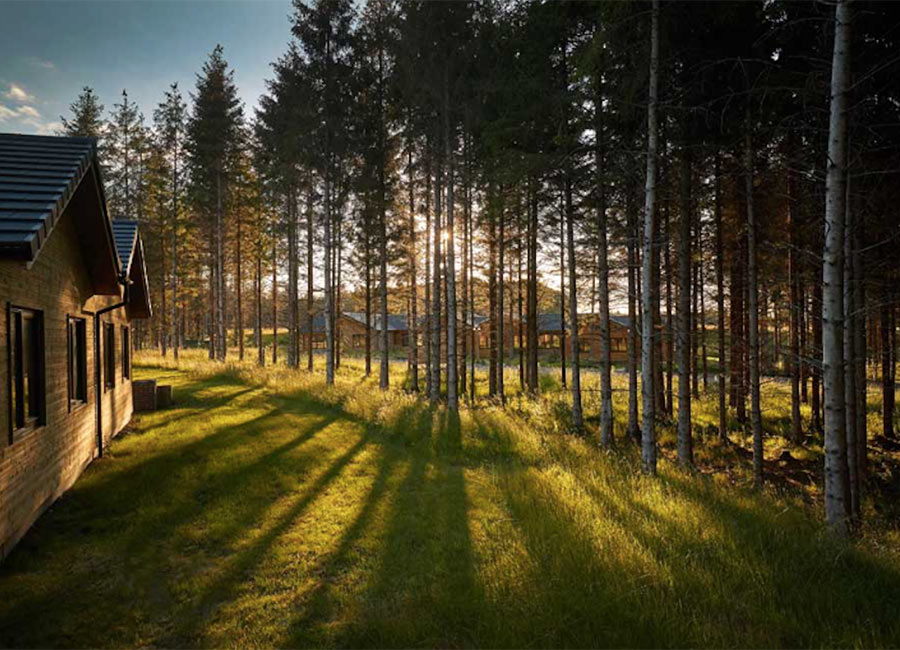 8 things lift your spirits entertainment lifestyle Grace Cahill