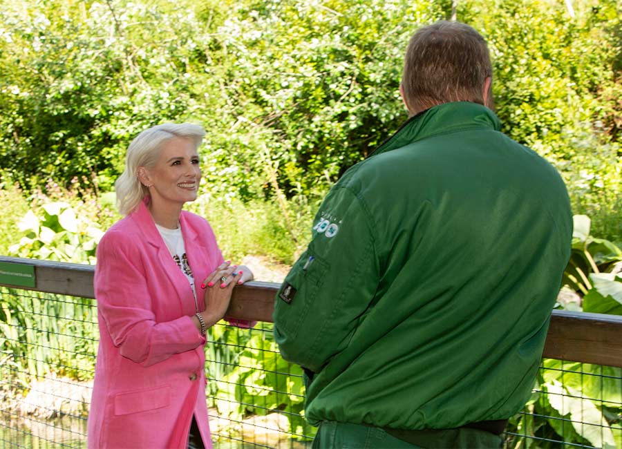 The Zoo Live will be presented by Sinead Kennedy live from Dublin Zoo
