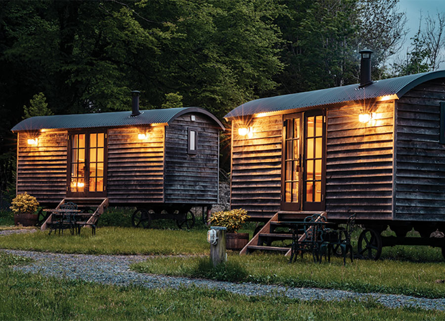 8 things that will lift your spirits this week