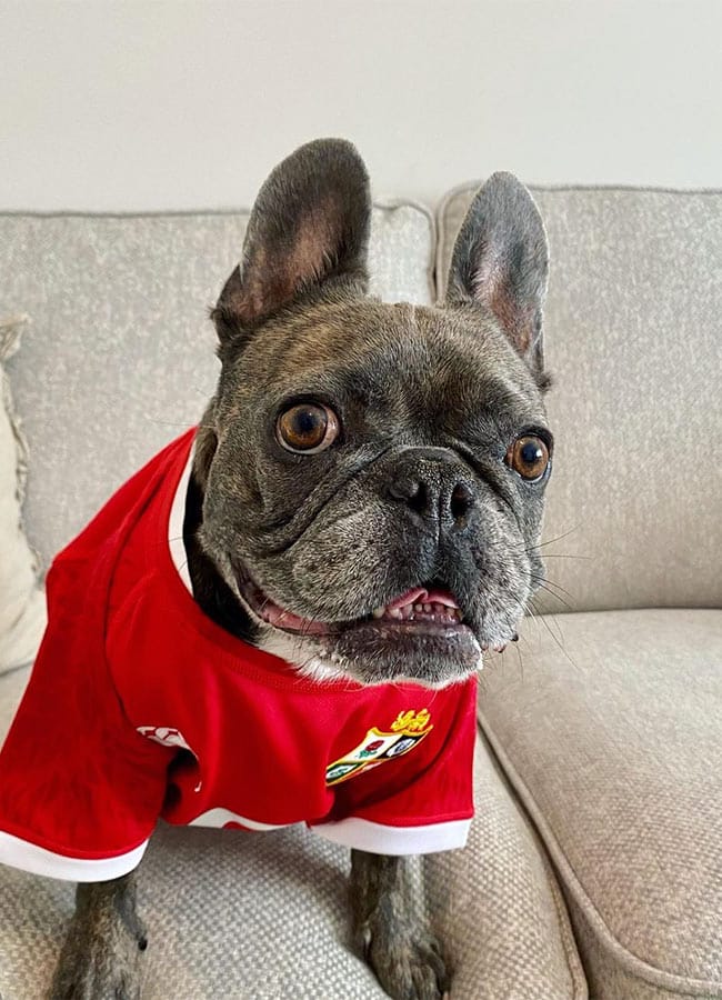 Tadhg Beirne and Harriet Fuller's dog. Pic: Instagram