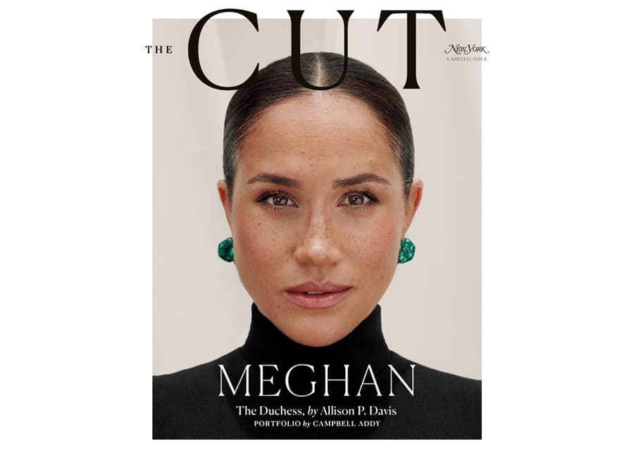 Meghan takes another swipe at the Royal Family while royal expert claims 'family rift is getting worse, not better'