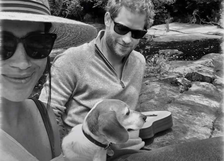 Harry and Meghan documentary royal family docuseries