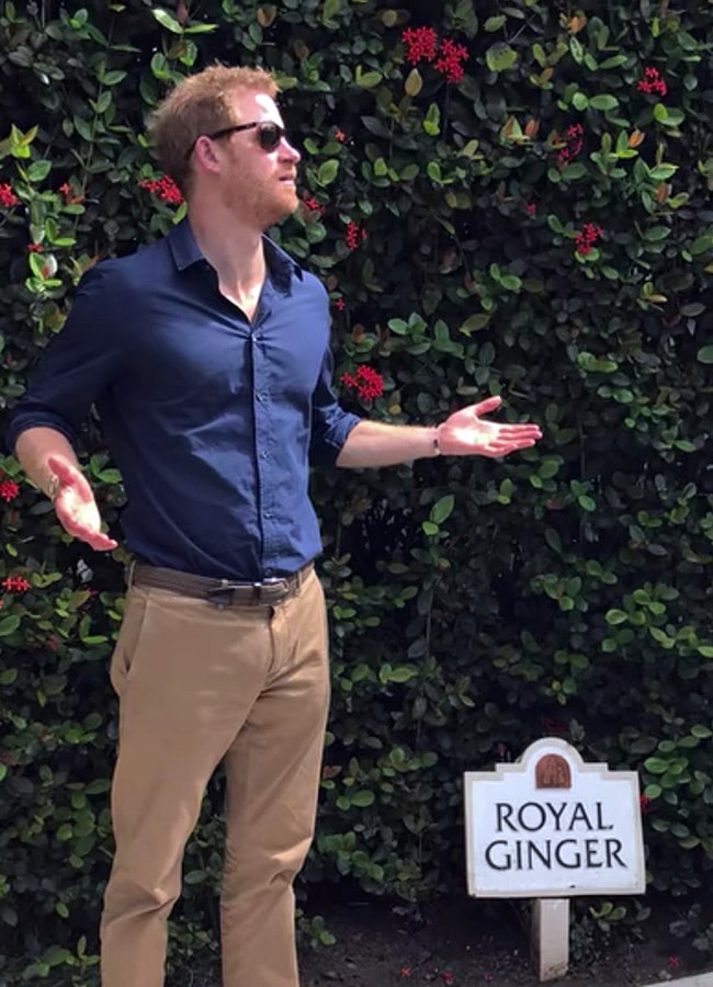 Harry & Meghan documentary on Netflix