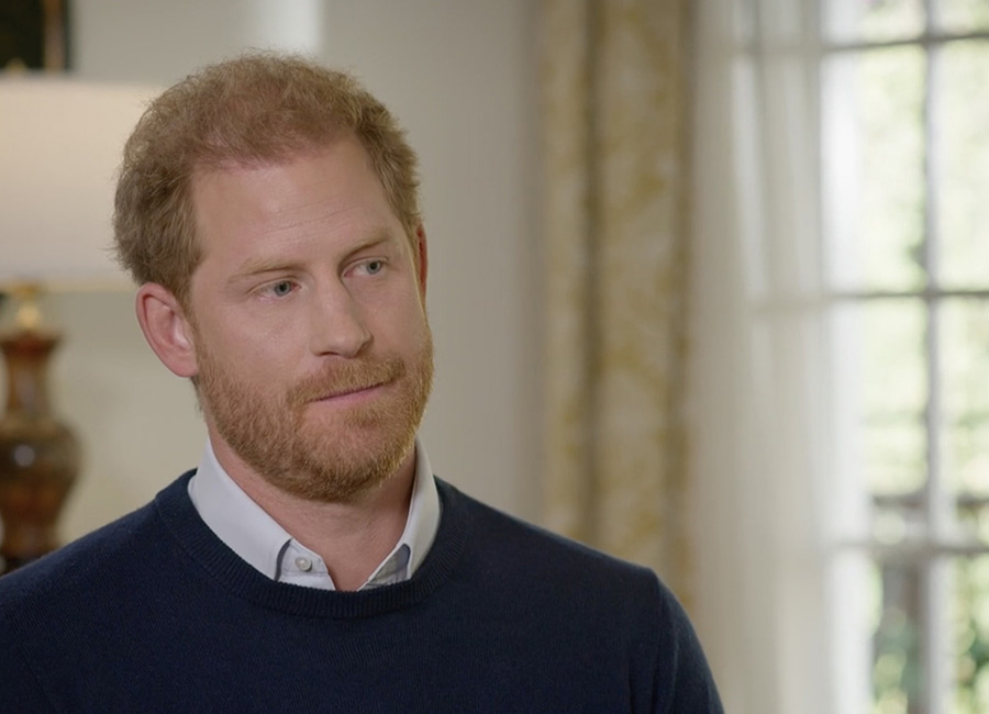 Harry: The Interview Duke of Sussex Tom Bradby