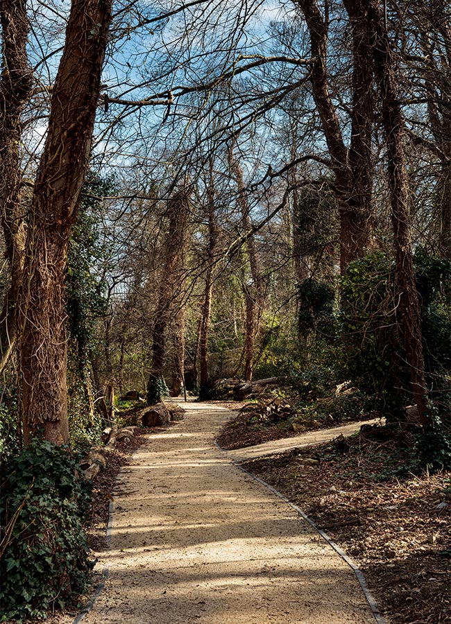 Strong demand expected for homes at new development on site of British Ambassador’s Strong demand expected for homes at new development on site of British Ambassador’s Woodland Park