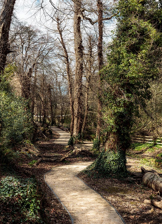 Strong demand expected for homes at new development on site of British Ambassador’s Strong demand expected for homes at new development on site of British Ambassador’s Woodland Park