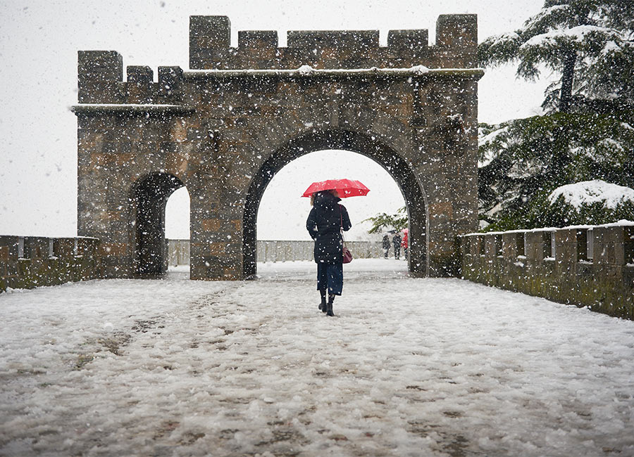 Fierce blizzards hit Spain’s fields and Ireland’s shelves