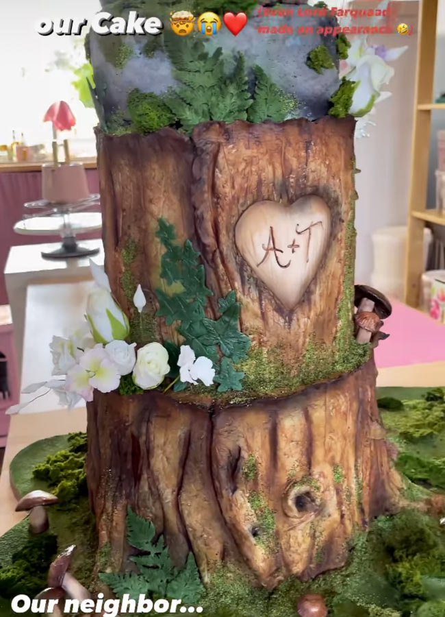 Twins, trad and plenty of sun! Inside Tadhg Fleming's wedding to fiancée Alannah