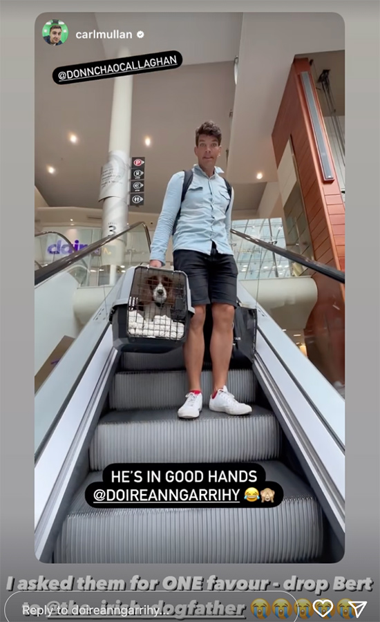 Carl and Donncha were trusted with dropping Doireann's dog Bert to the sitters