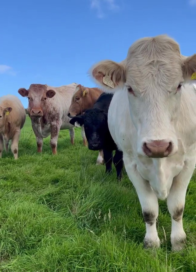 Pic: Emily Ratajkowski/Instagram