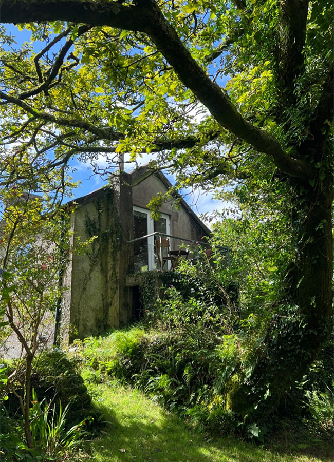 Pic: Emily Ratajkowski/Instagram