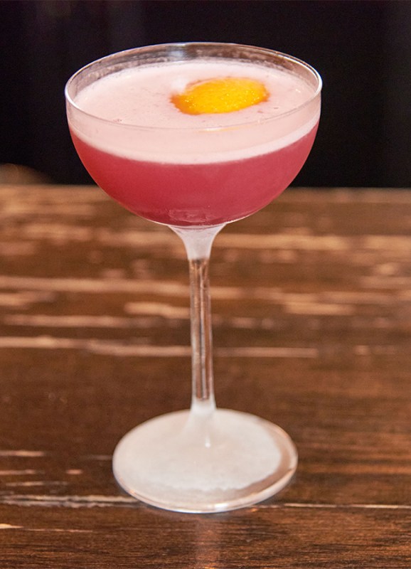 Cosmo. Pic: Sean Dwyer