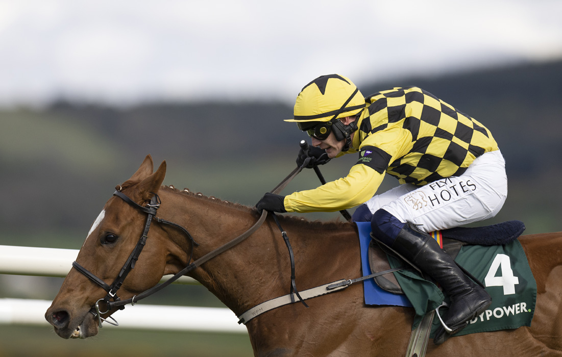 'All I know is horses' Champion jockey Paul Townend reflects on his highs and lows in his career