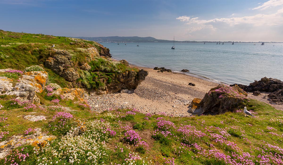 Here are the six best swimming spots in Dublin