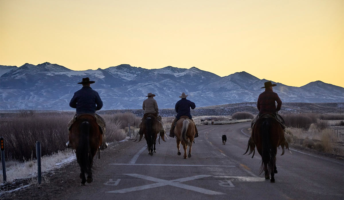 Cowboy Country Scene Setter; Elko, Nevada. Pic: Ryan Donnell