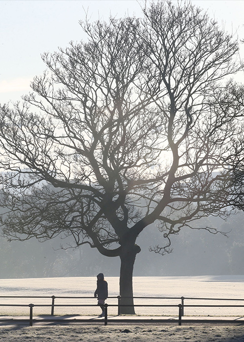 Cold weather scenes in the Phoenix Park. Pic: Stephen Collins / Collins Photos