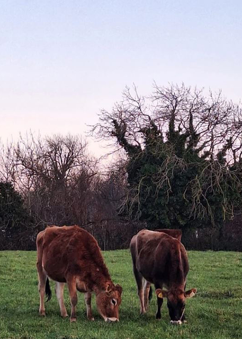 Pic: Airfield Estate/Instagram