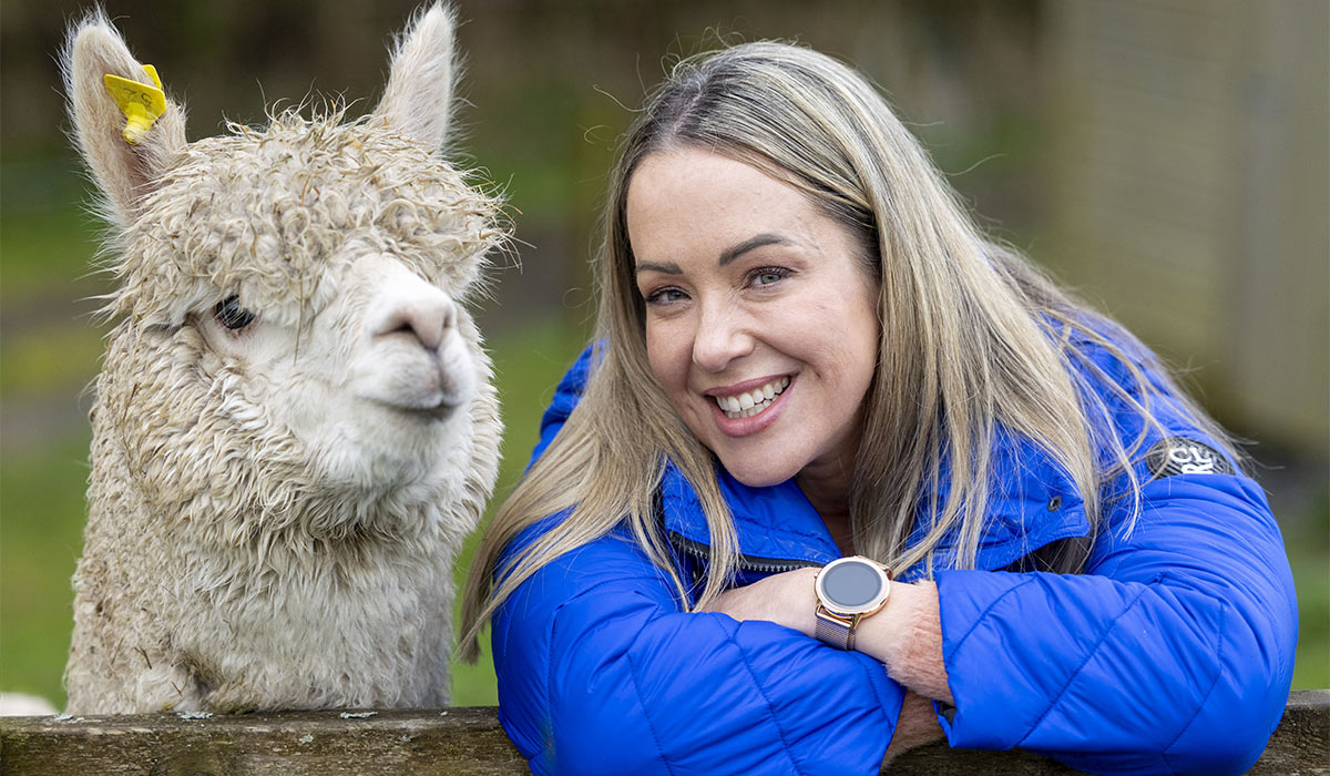 Are these the world's cutest therapists? Meet the alpacas spreading joy in Co Wicklow