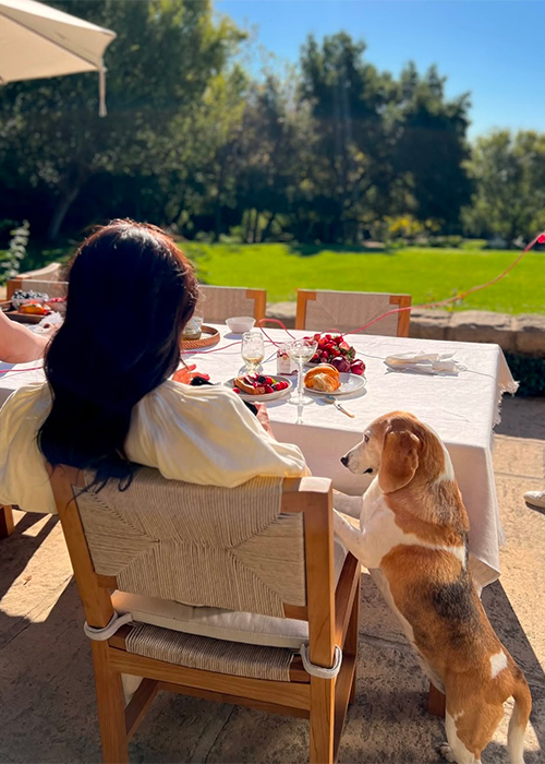 A behind-the-scenes from the As ever photoshoot with Meghan and her beagle. Pic: Meghan/Instagram