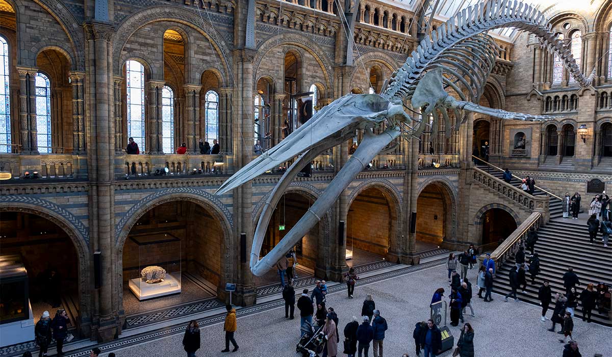 Lisa Brady's London Trip