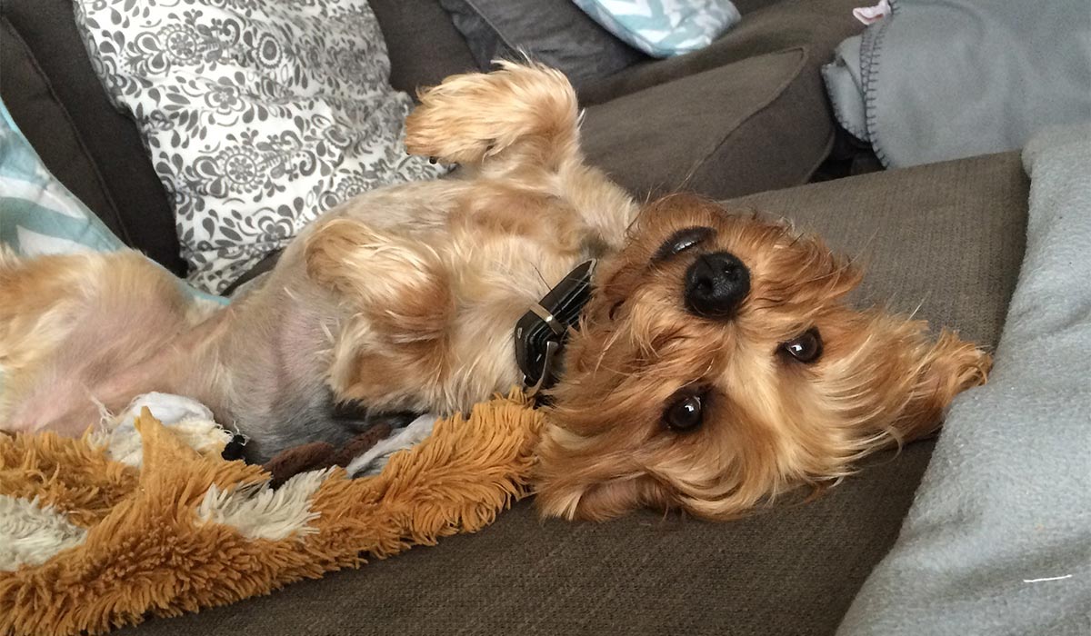 Lisa Brady: My darling girl gave me purpose after loss but now I'm heartbroken without her